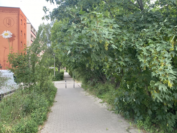 photo 640x640 3